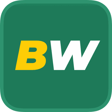 BetWinner logo